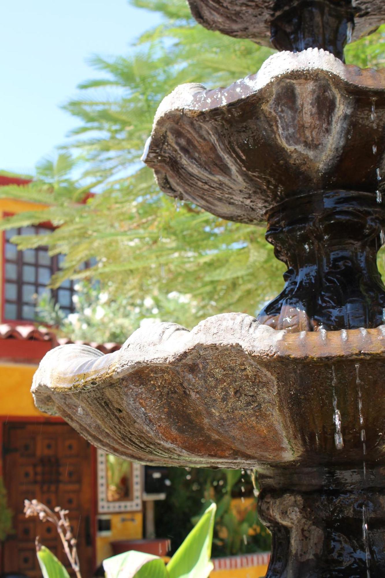 Hacienda Los Algodones Los Algodones  Exteriör bild